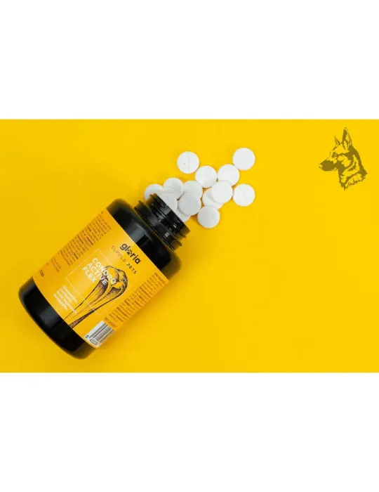 Supplepets Condro Active Flex