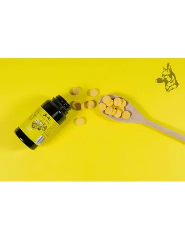 Envase de suplemento alimenticio para mascotas marca Gloria Supple Pets, modelo Neuro Active. Este producto está diseñado para p 2