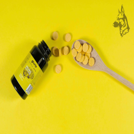 Supplepets Neuro Active