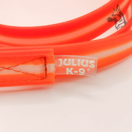 Julius K9 Correa Lumino IDC® Naranja
