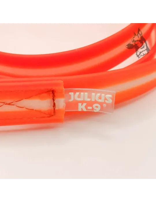Julius K9 Correa Lumino IDC® Naranja — detalle de la banda y etiqueta