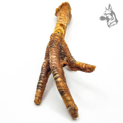 Pata de pavo XL deshidratada, snack natural para perros, ideal para masticación prolongada, cuidado dental y aporte de proteínas