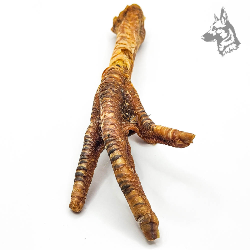 Pata de pavo XL deshidratada, snack natural para perros, ideal para masticación prolongada, cuidado dental y aporte de proteínas