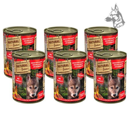 Latas de Pollo con zanahorias, piña, semillas de lino y arándanos rojos Natural Greatness - Comida húmeda premium para cachorros