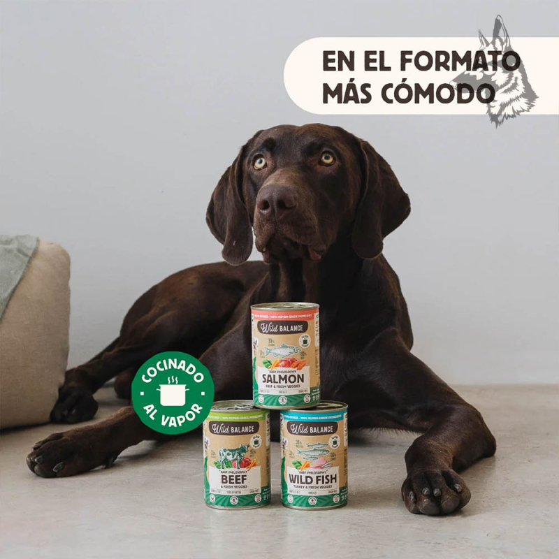 Perro de raza grande posando junto a tres variedades de comida Wild Balance BARF Philosophy, incluyendo las opciones de salmón y