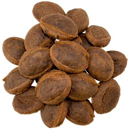 Galletas horneadas naturales para perros con pavo, manzana y arándanos, textura crujiente, ideales como premio saludable antioxi