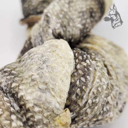 Trenza de bacalao natural para perros, snack rico en ácidos grasos Omega-3, ideal para el cuidado del pelaje, la piel y la salud