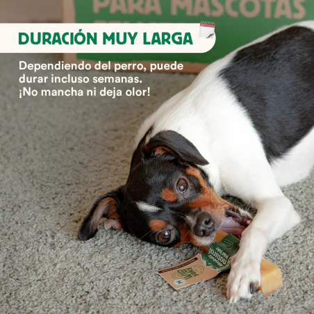 Perro pequeño disfrutando de un mordedor Wild Yaky, snack natural de larga duración que no mancha ni deja olor