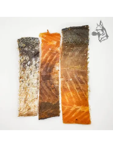 Tres piezas de piel de salmón dispuestas sobre un fondo claro, resaltando su calidad. 2