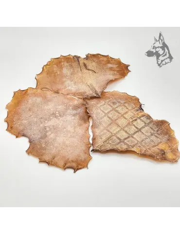 Primer plano de alas de pota deshidratadas, mostrando su textura natural.