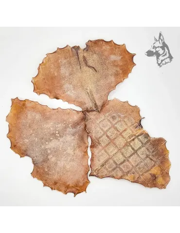 Primer plano de alas de pota deshidratadas, mostrando su textura natural. 2