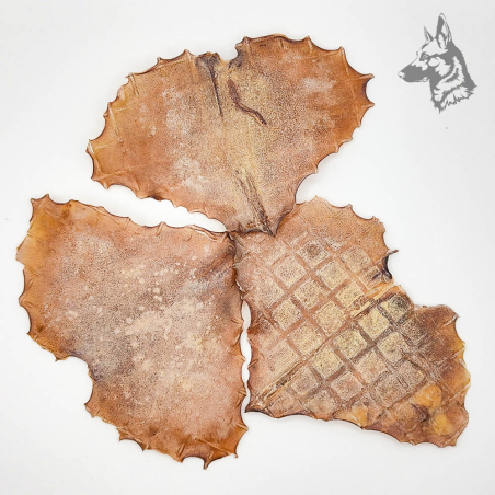 Tres piezas de alas de pota deshidratadas sobre fondo blanco, perfectas como snack natural para perros.