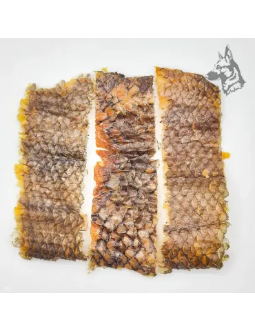 Piel de merluza deshidratada en tiras, con un patrón de escamas natural. 2