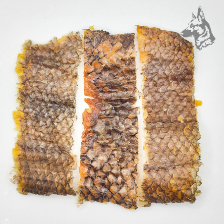 Tres piezas de piel de merluza deshidratada colocadas en fila, con escamas bien definidas.