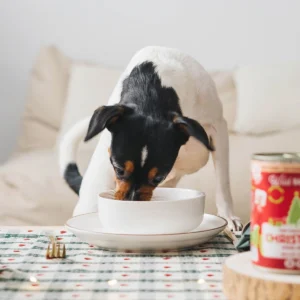 🎄 Cena BARF - Ciervo y Conejo 🎄 - Imagen 6