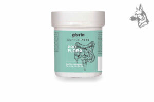 Envase de suplemento alimenticio para mascotas marca Gloria Supple Pets, modelo Proflora. El producto está diseñado para apoyar la salud intestinal de perros y gatos, con una fórmula enriquecida con Bacillus velezensis y minerales esenciales como Fe, I, Cu, Mn, Zn y Se. El diseño del envase incluye una ilustración gráfica del sistema digestivo y está presentado en un envase blanco con etiqueta verde menta. Ideal para el mantenimiento de la flora intestinal de las mascotas.