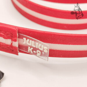 Correa Lumino IDC® Roja Julius K9 - Imagen 2