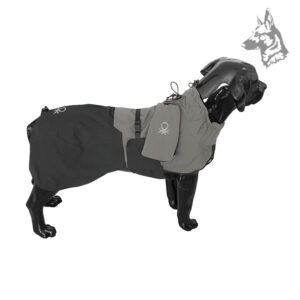 Chubasquero para perros Benetton en color gris y negro ajustado en un maniquí – Impermeable, ajustable y transpirable, con diseño ergonómico para paseos cómodos bajo la lluvia. Bolsa de transporte incluida para fácil almacenamiento.