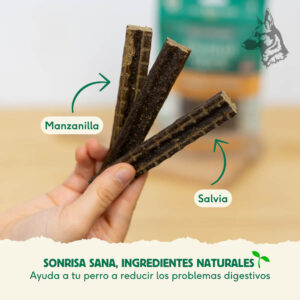 Mano sosteniendo tres sticks dentales Wild Balance, con etiquetas resaltando ingredientes naturales como la manzanilla y la salvia.