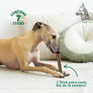 Perro Whippet disfrutando de un stick dental sobre una alfombra, con el mensaje "¡Un stick para cada día de la semana!" destacando su formato semanal.