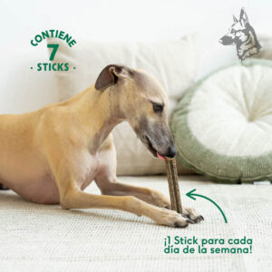 Perro acostado en un ambiente acogedor, disfrutando de un stick dental Wild Balance "Calming & Chill". Texto que resalta la cantidad del producto: "¡1 stick para cada día de la semana!" con un paquete de 7 unidades.