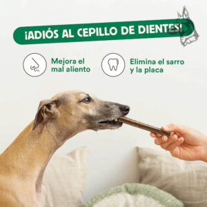 Perro mordiendo un Stick Dental de Ternera, con el texto "¡Adiós al cepillo de dientes!", resaltando los beneficios del producto para mejorar el aliento y eliminar el sarro y la placa dental.