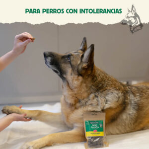 Un pastor alemán tumbado en el suelo, dando la pata a una persona que le ofrece un snack. En primer plano, un paquete de Wild Snacks Pelaje Sano de Venado. El texto en la imagen menciona que es ideal para perros con intolerancias alimentarias.